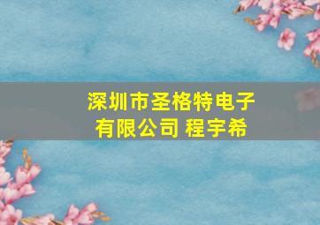 深圳市圣格特电子有限公司 程宇希